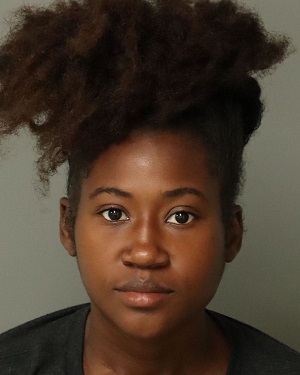 TALEAH WILLIAMS ADELE Info, Photos, Data, and More / Wake County Public Records